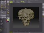 ZBrush, Commercial, Windows, Macintosh, other